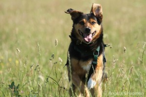 Oldies Club Jasper