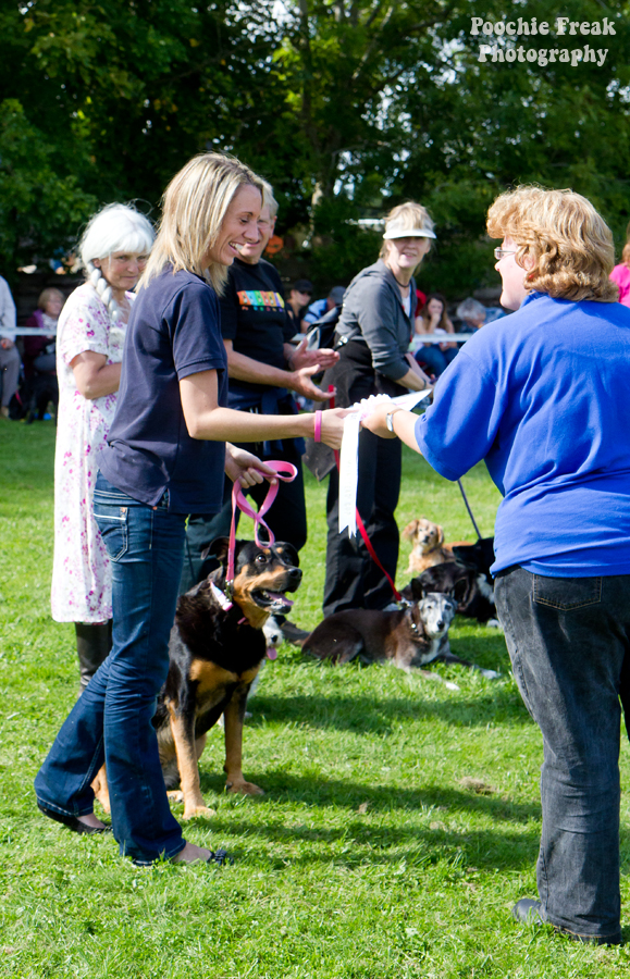 Bath Cats & Dogs Home, Open Day, Pet Photography, Dog Photographer, Pet photographer UK