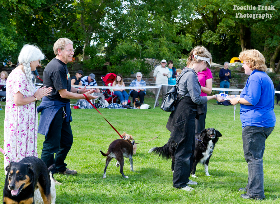 Bath Cats & Dogs Home, Open Day, Pet Photography, Dog Photographer, Pet photographer UK