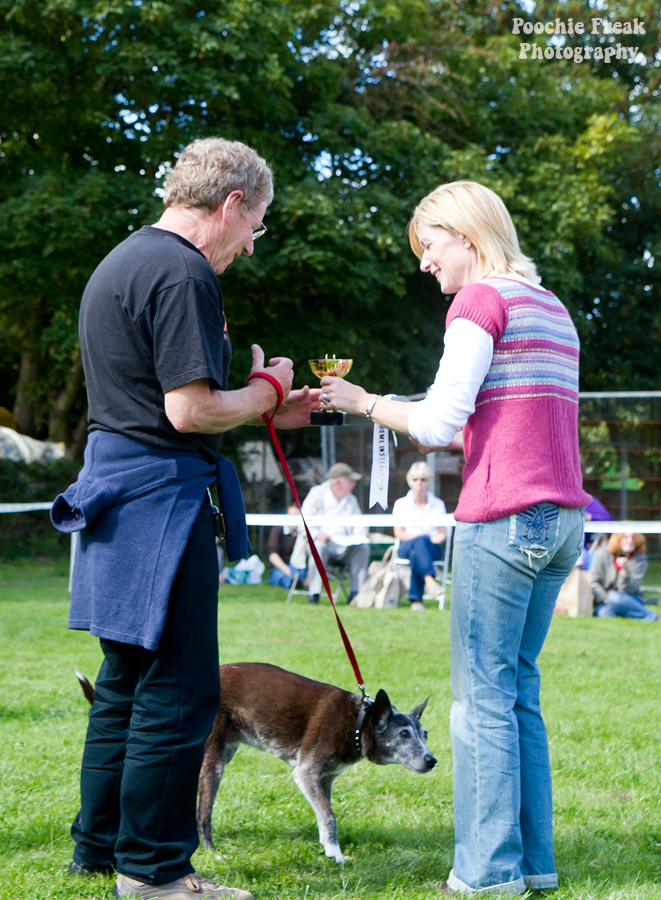 Bath Cats & Dogs Home, Open Day, Pet Photography, Dog Photographer, Pet photographer UK