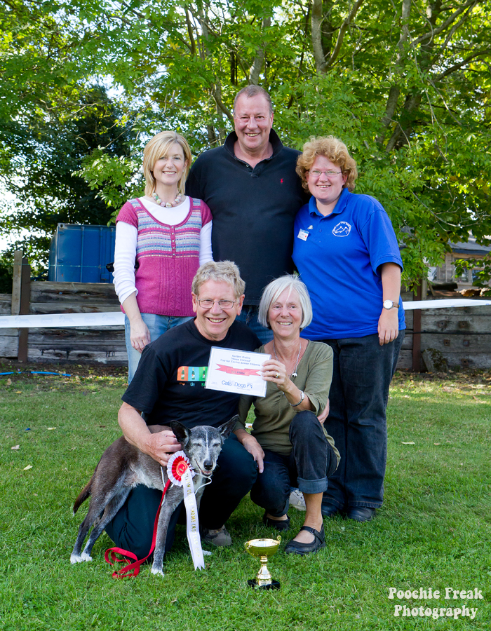 Bath Cats & Dogs Home, Open Day, Pet Photography, Dog Photographer, Pet photographer UK