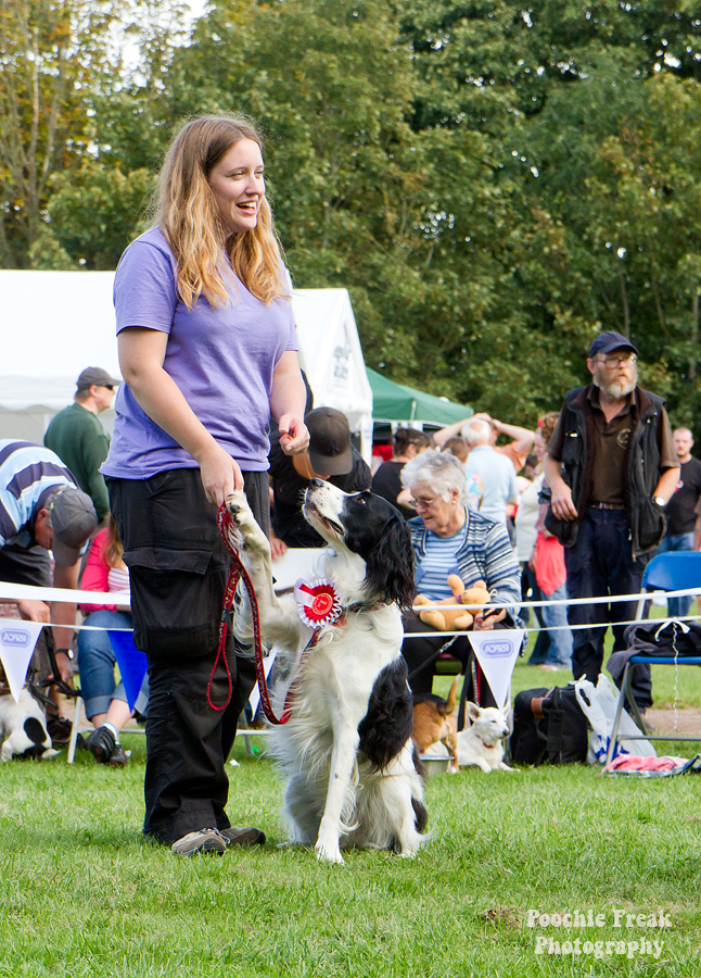 Bath Cats & Dogs Home, Open Day, Pet Photography, Dog Photographer, Pet photographer UK