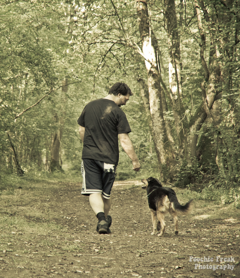 Jasper, Oldies Club, pet photographer, dog photography UK Jasper, Oldies Club, pet photographer, dog photography UK