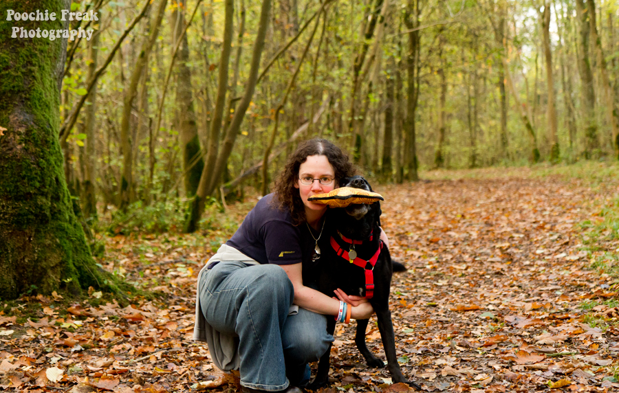 Mr Moo, New Toy Day, Pet Photography, Dog Photography, Pet Photographer