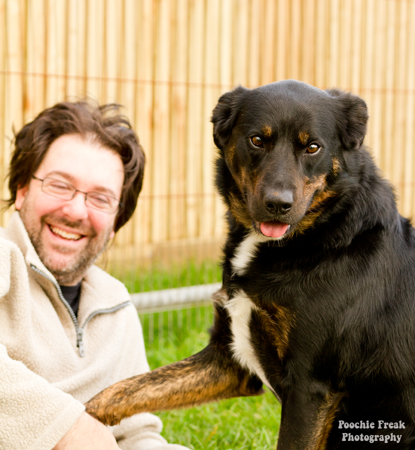 Buddy, Bath Cats & Dogs Home, BCDH, Pet Photography, Dog Photographer, Pet Photographer UK