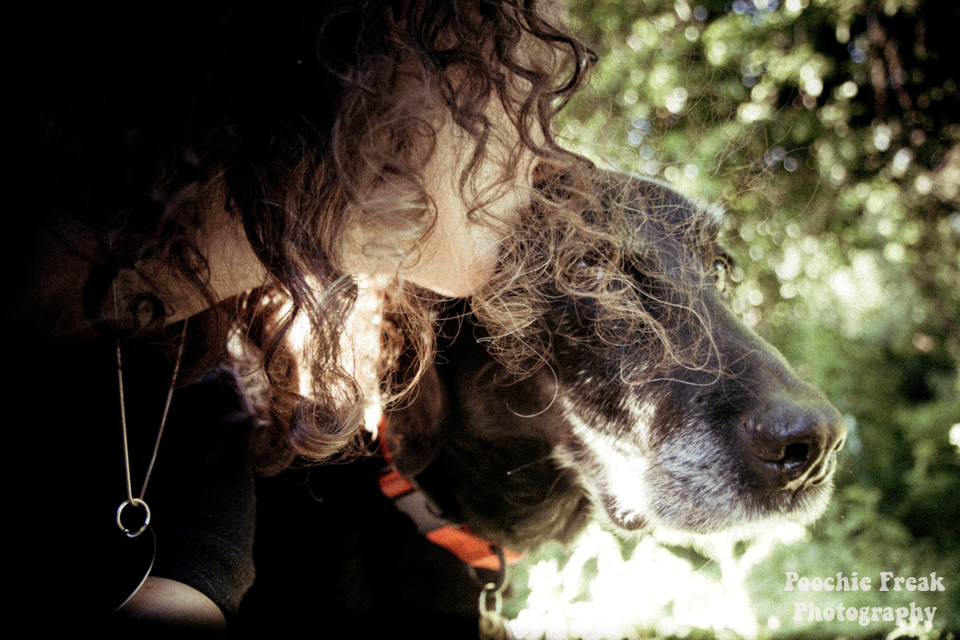 Pet Photography, Dog Photographer, Labrador, Retriever, Black Lab, self portrait