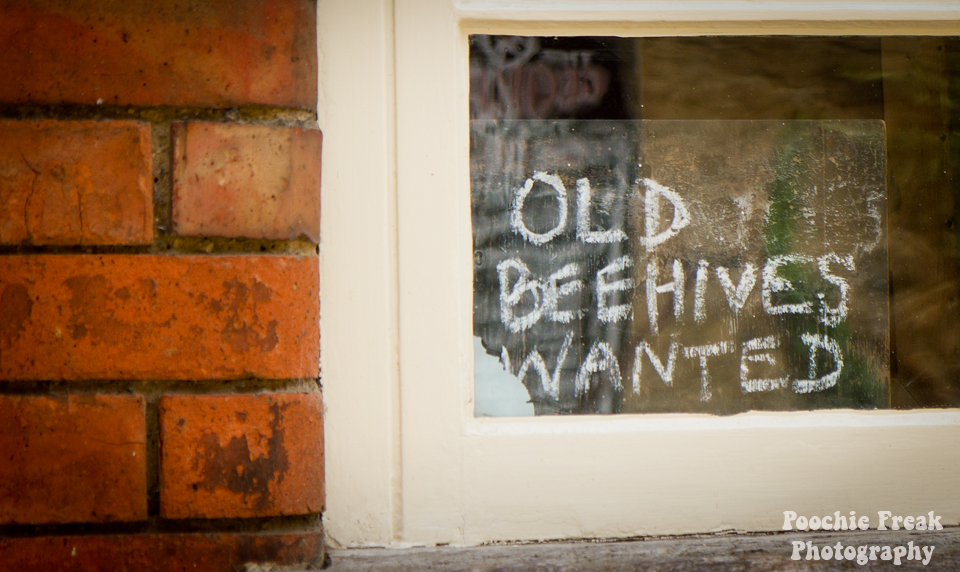 Tourists, Lacock, Wiltshire, Bakery