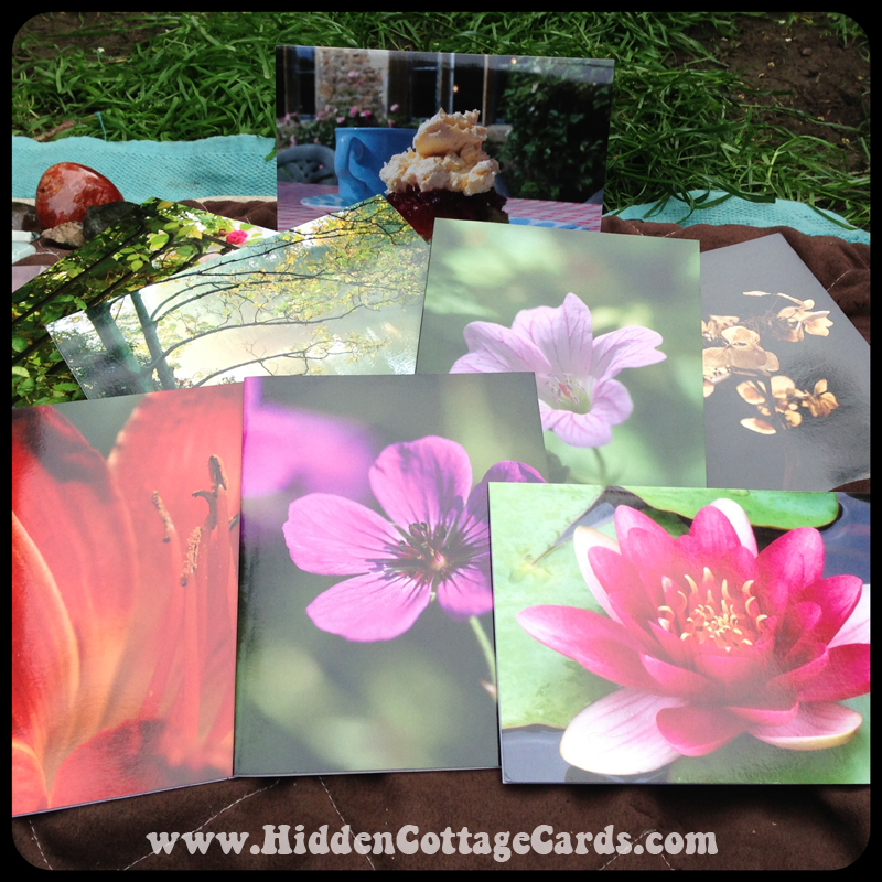 Hidden Cottage Cards, Photography, greeting cards, Labrador, flowers, nature