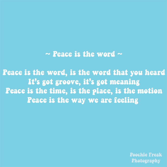 Peace is the Word
