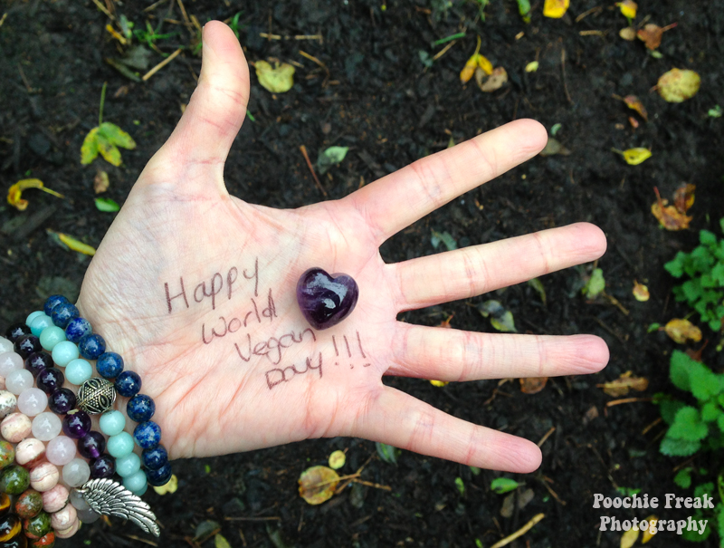 Happy World Vegan Day 2015-1pf