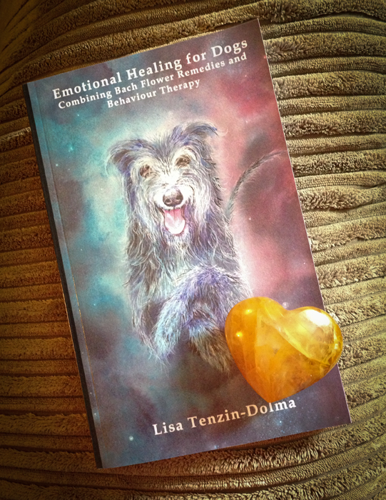 Emotional Healing for Dogs