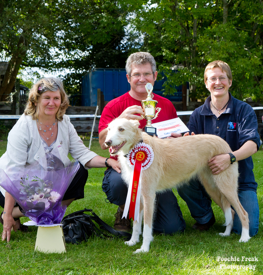 Bath Cats & Dogs Home, open day, pet photographer, dog photography, pet photography UK