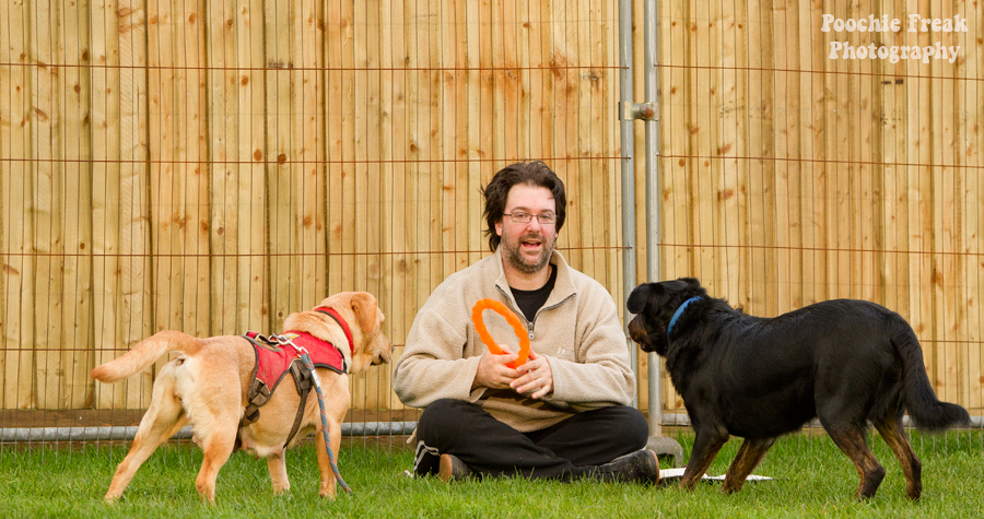 Buddy, Bath Cats & Dogs Home, BCDH, Pet Photography, Dog Photographer, Pet Photographer UK