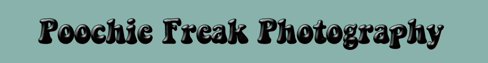 Poochie Freak Pet Photography ~ Where love shines through logo